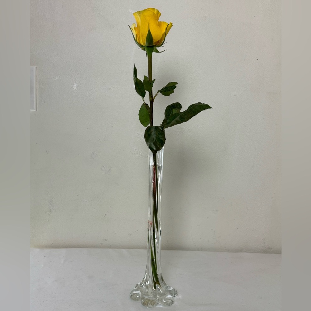 Tall Clear Glass Vase with Flower Base Crystal.